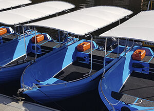 Blue Polycraft