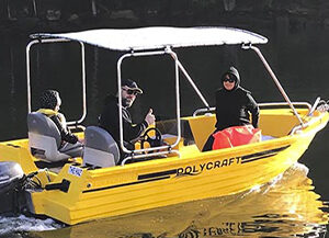 Yellow Dory